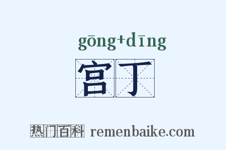 宫丁是什么意思的图片